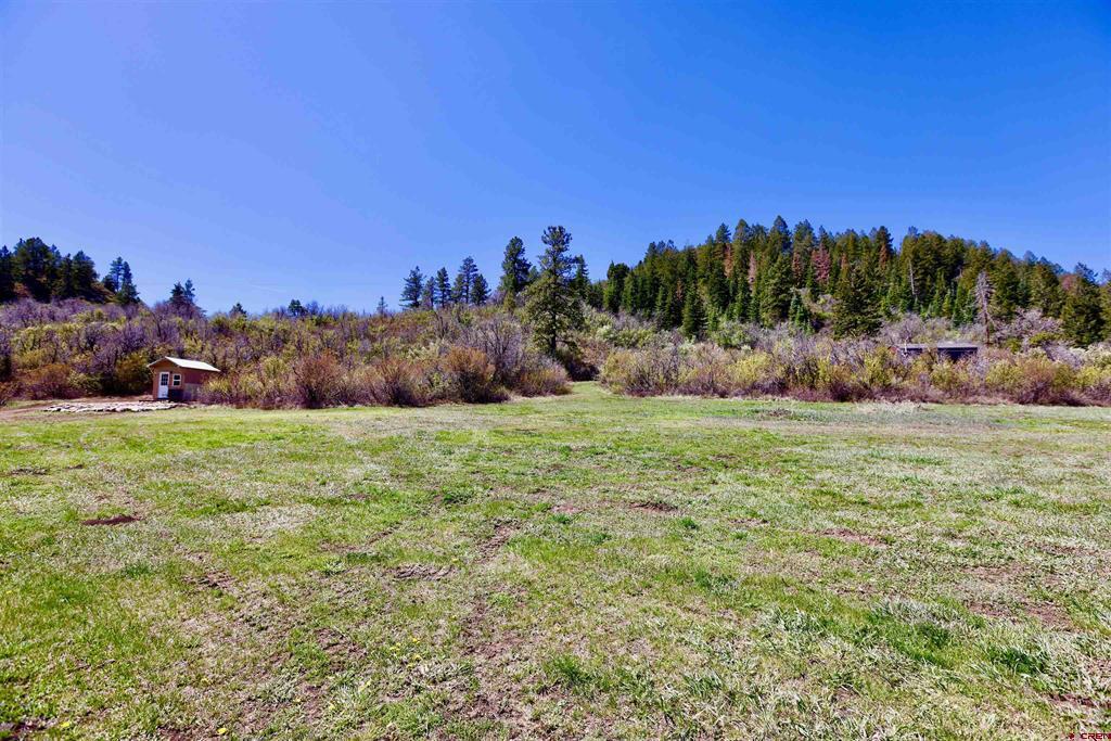 242 Pine Springs Drive Bayfield CO 81122