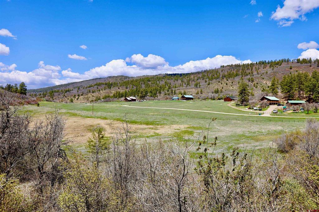 242 Pine Springs Drive Bayfield CO 81122