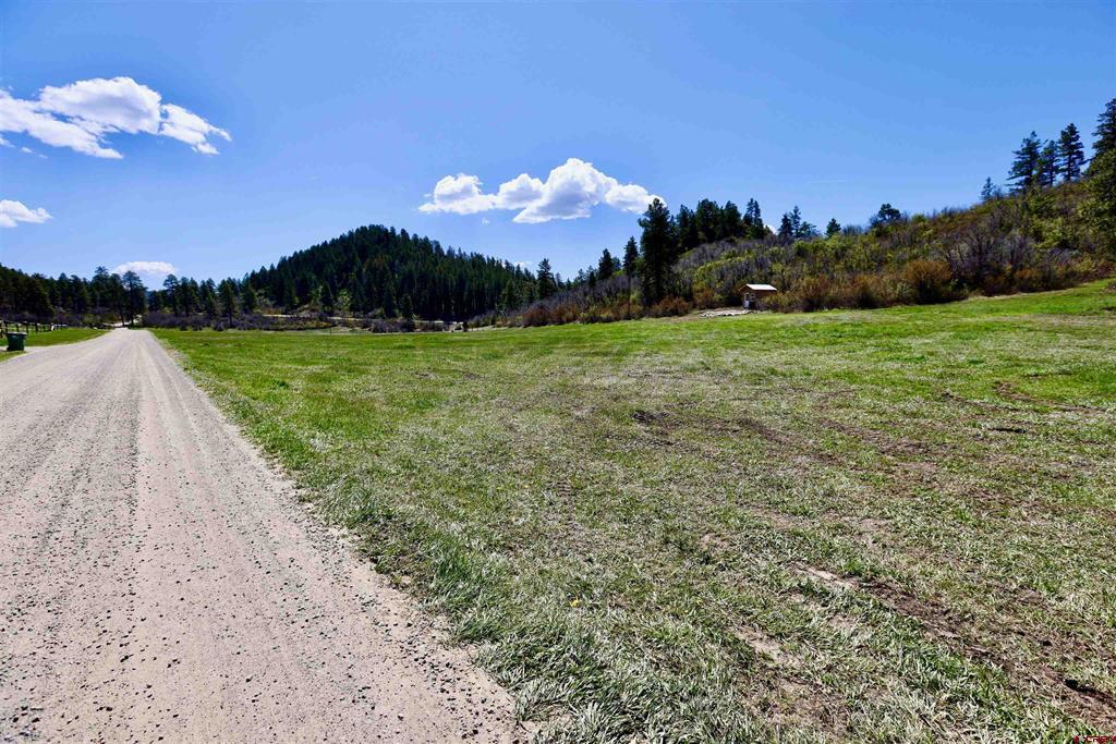 242 Pine Springs Drive Bayfield CO 81122