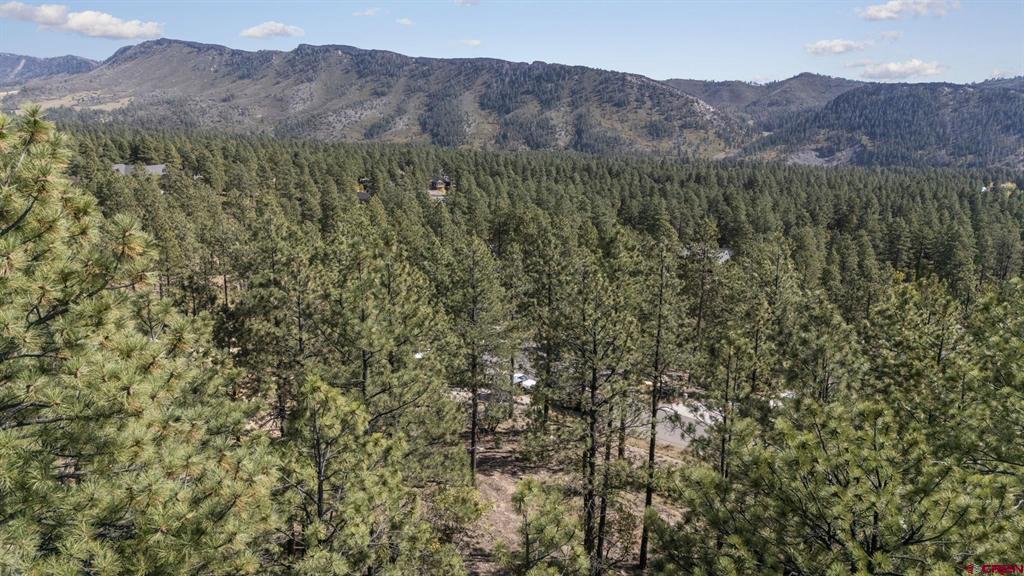 123 Boulder View Drive Durango CO 81301