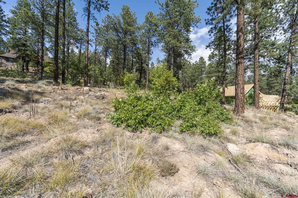 123 Boulder View Drive Durango CO 81301