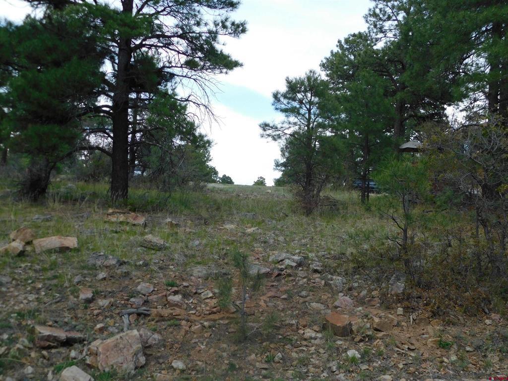 49 Masters Circle Pagosa Springs CO 81147
