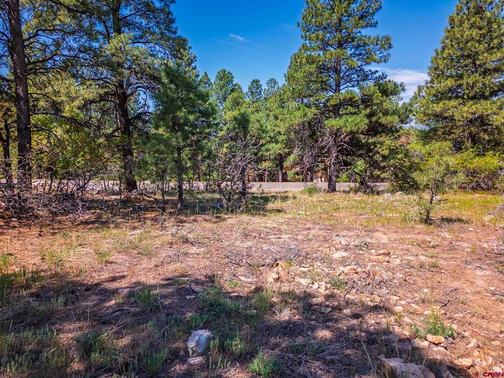 49 Masters Circle Pagosa Springs CO 81147