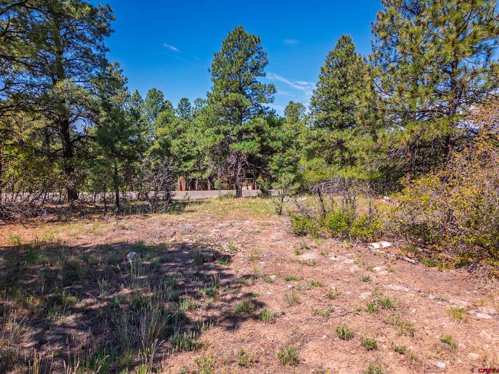 49 Masters Circle Pagosa Springs CO 81147