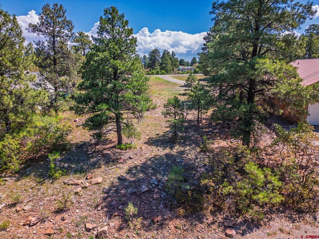 49 Masters Circle Pagosa Springs CO 81147