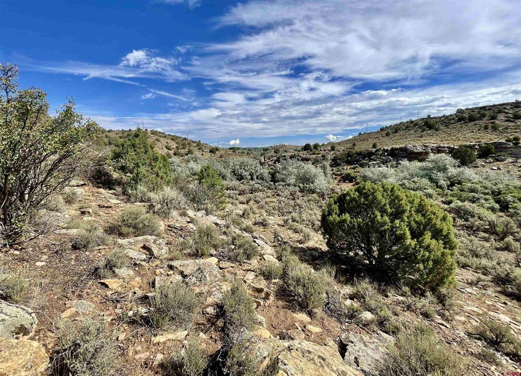 Tract 10 Road K.3 Cortez CO 81321