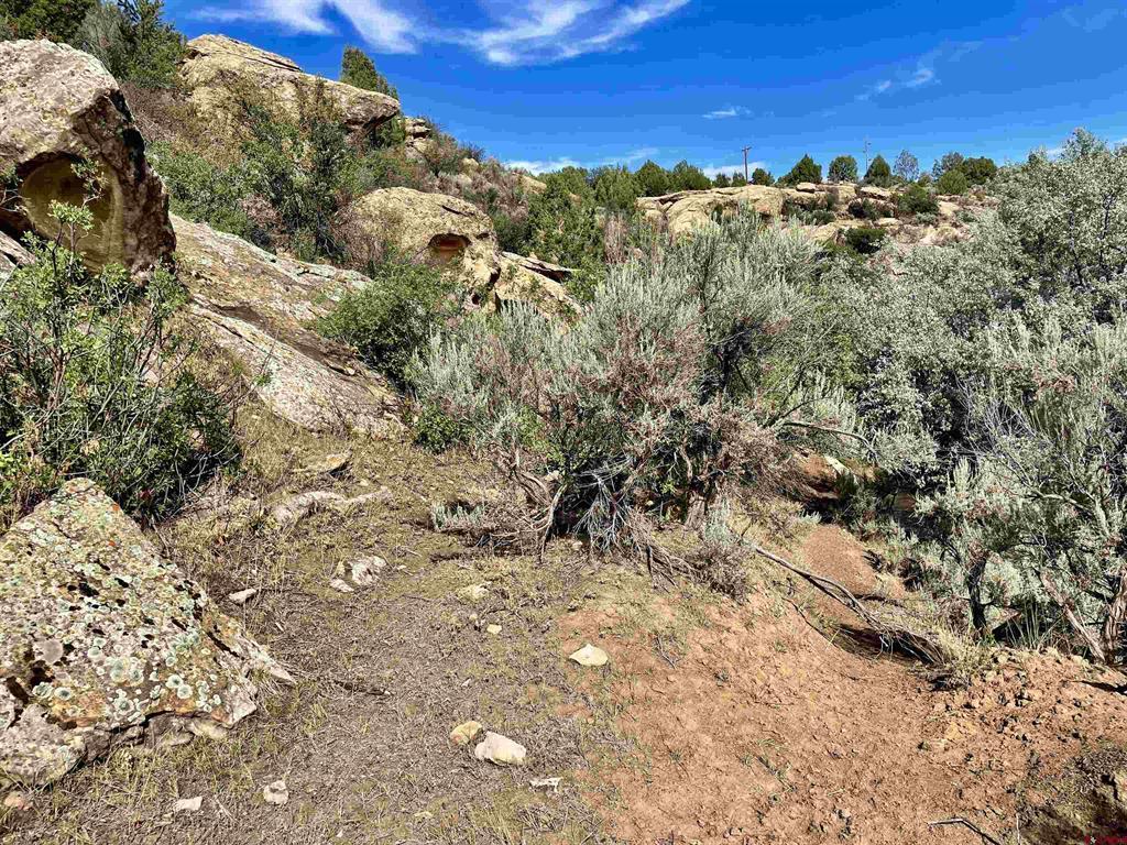Tract 10 Road K.3 Cortez CO 81321