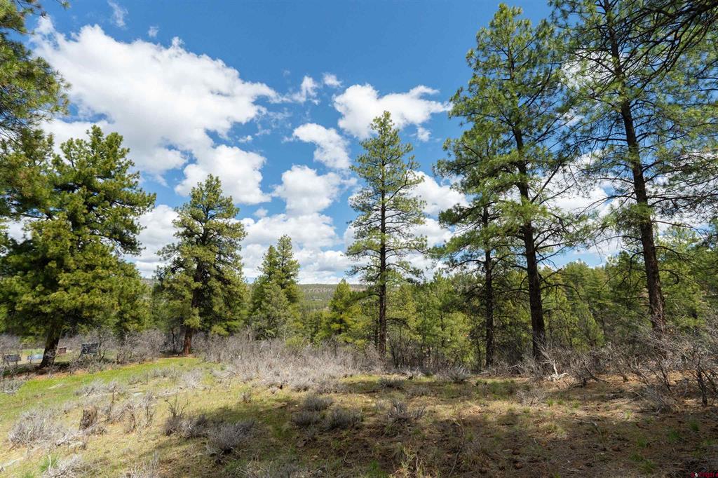 422 Oakridge Drive Pagosa Springs CO 81147