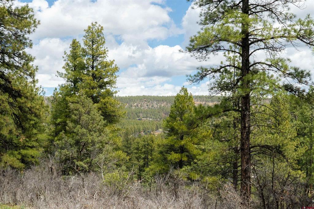 422 Oakridge Drive Pagosa Springs CO 81147