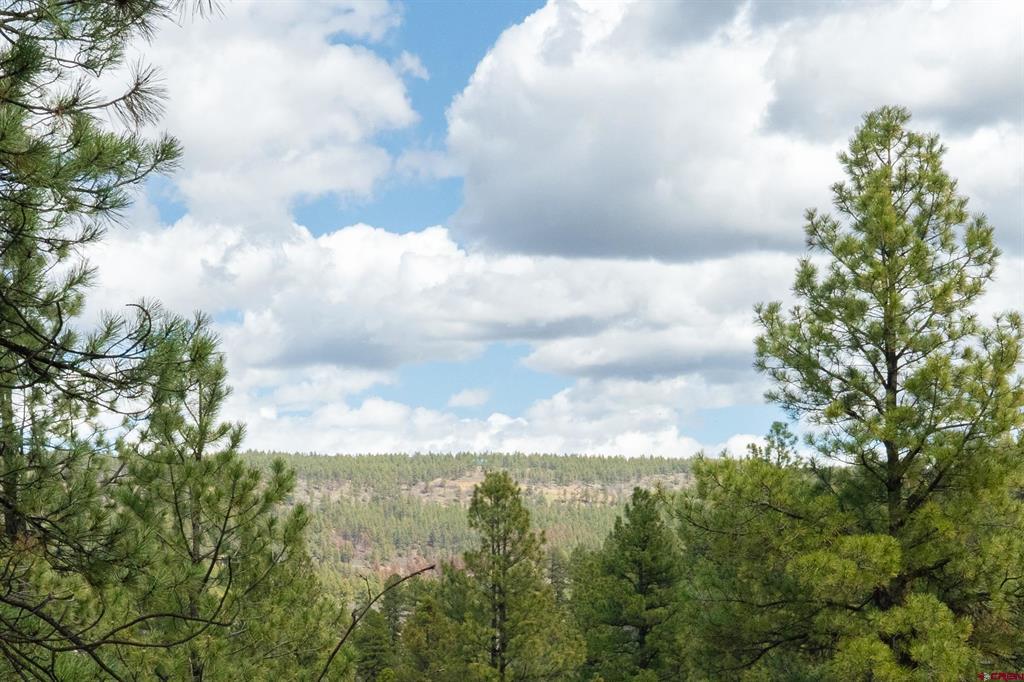 422 Oakridge Drive Pagosa Springs CO 81147