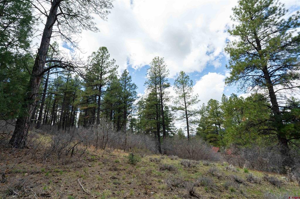 422 Oakridge Drive Pagosa Springs CO 81147