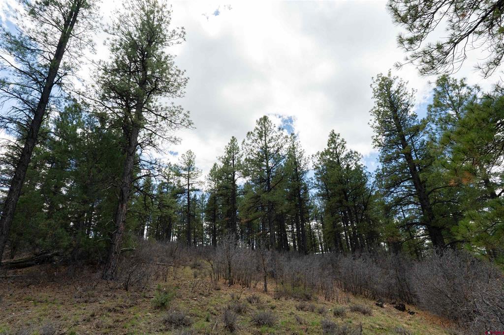422 Oakridge Drive Pagosa Springs CO 81147