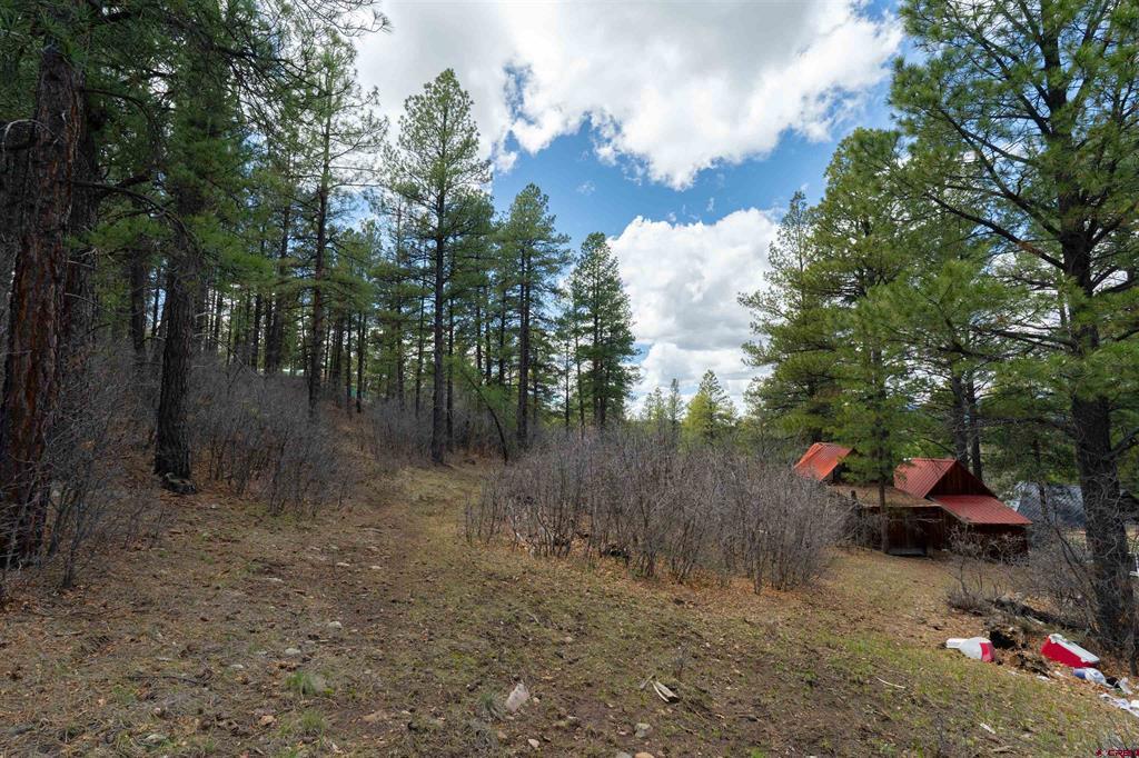 422 Oakridge Drive Pagosa Springs CO 81147