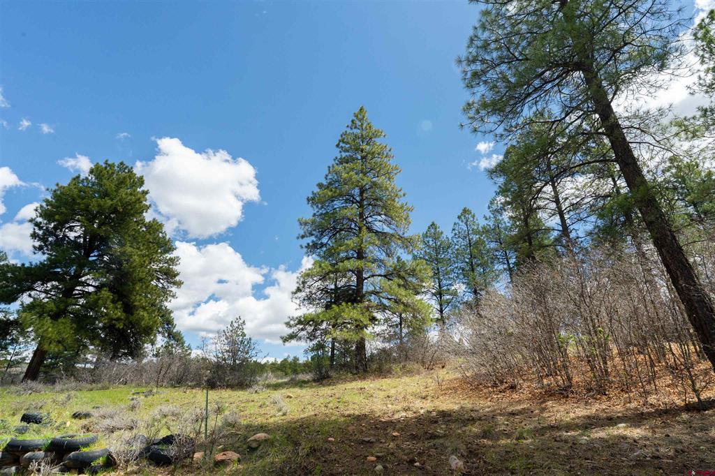 422 Oakridge Drive Pagosa Springs CO 81147