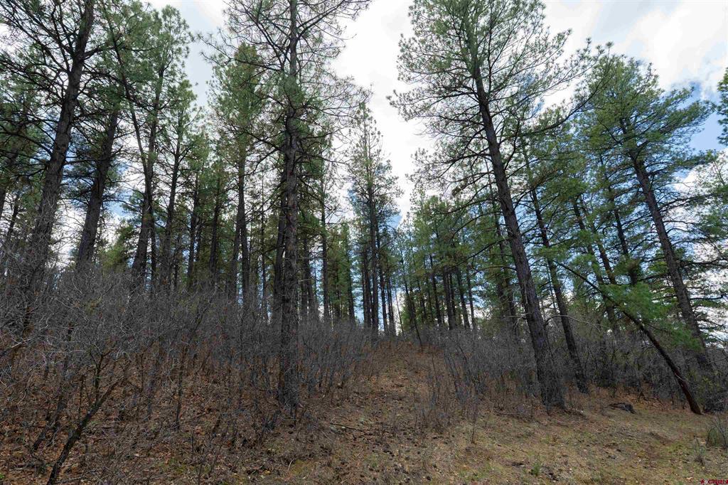 422 Oakridge Drive Pagosa Springs CO 81147