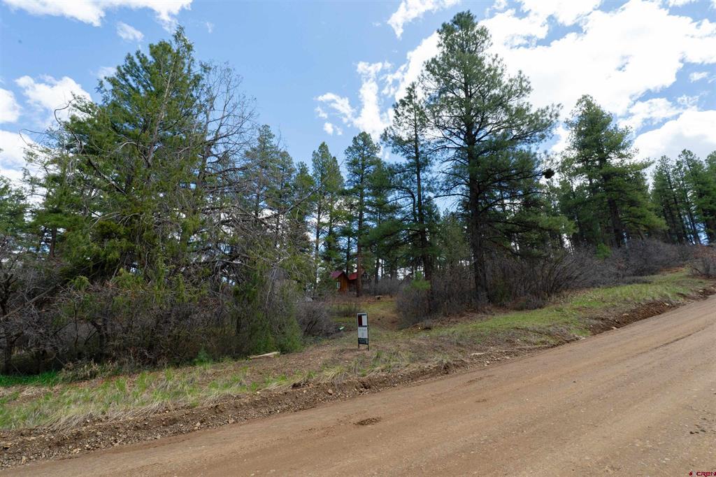 422 Oakridge Drive Pagosa Springs CO 81147