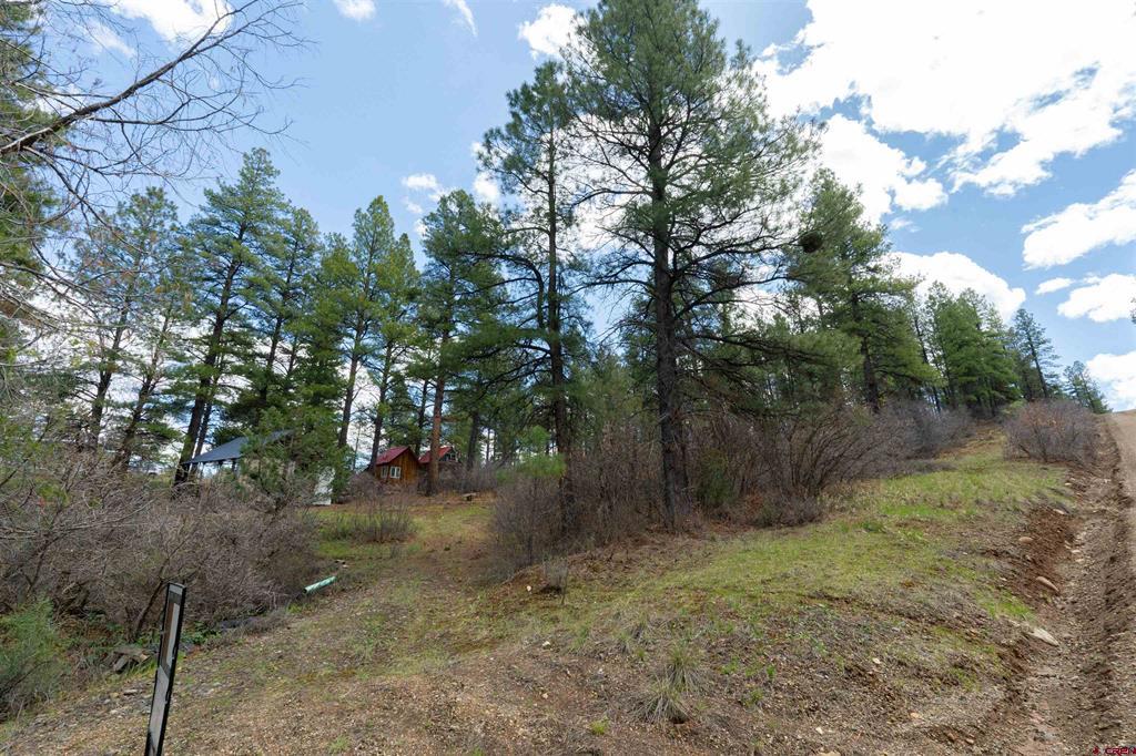 422 Oakridge Drive Pagosa Springs CO 81147