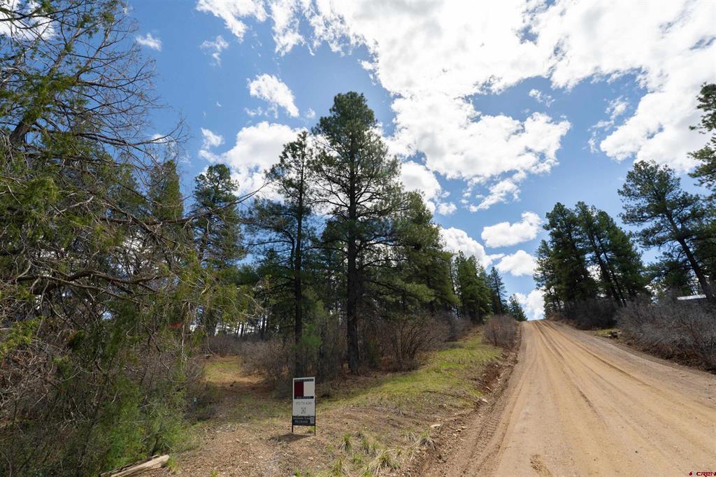 422 Oakridge Drive Pagosa Springs CO 81147