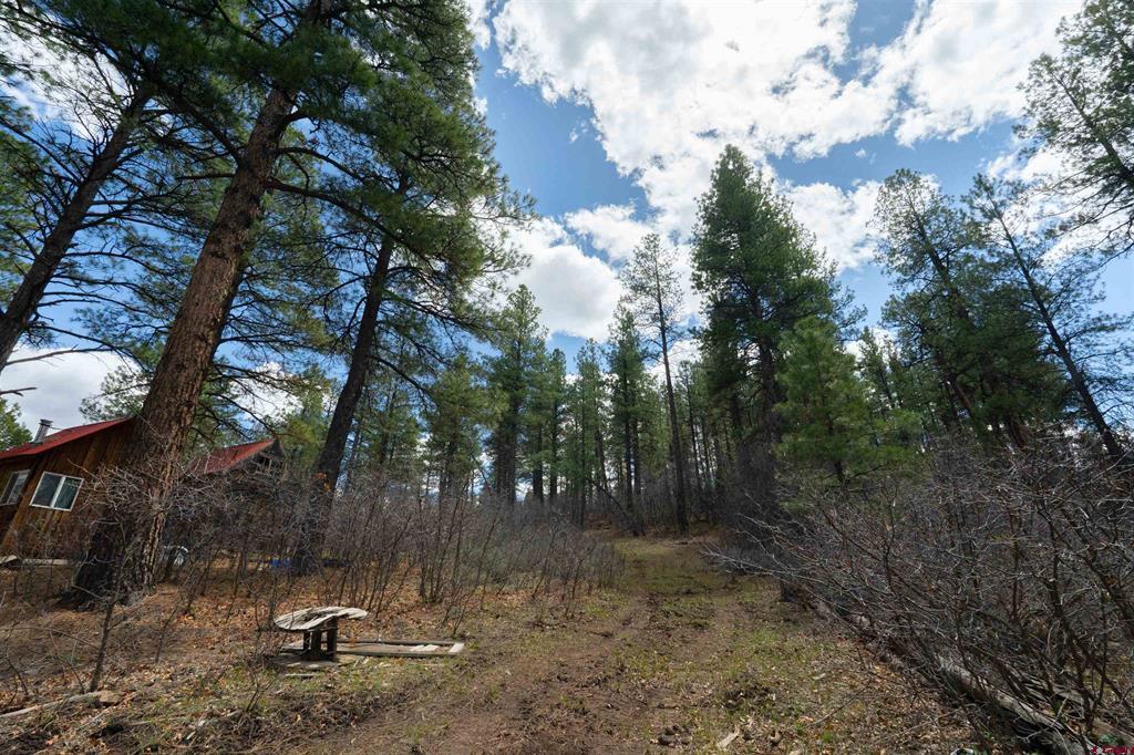 422 Oakridge Drive Pagosa Springs CO 81147