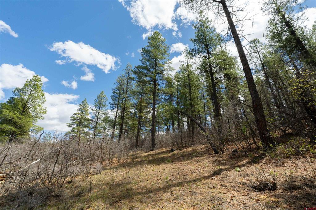 422 Oakridge Drive Pagosa Springs CO 81147