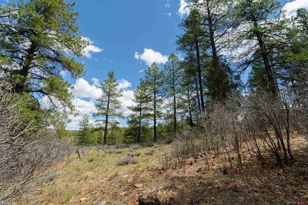 422 Oakridge Drive Pagosa Springs CO 81147