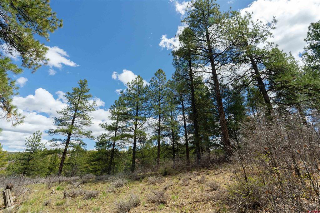 422 Oakridge Drive Pagosa Springs CO 81147