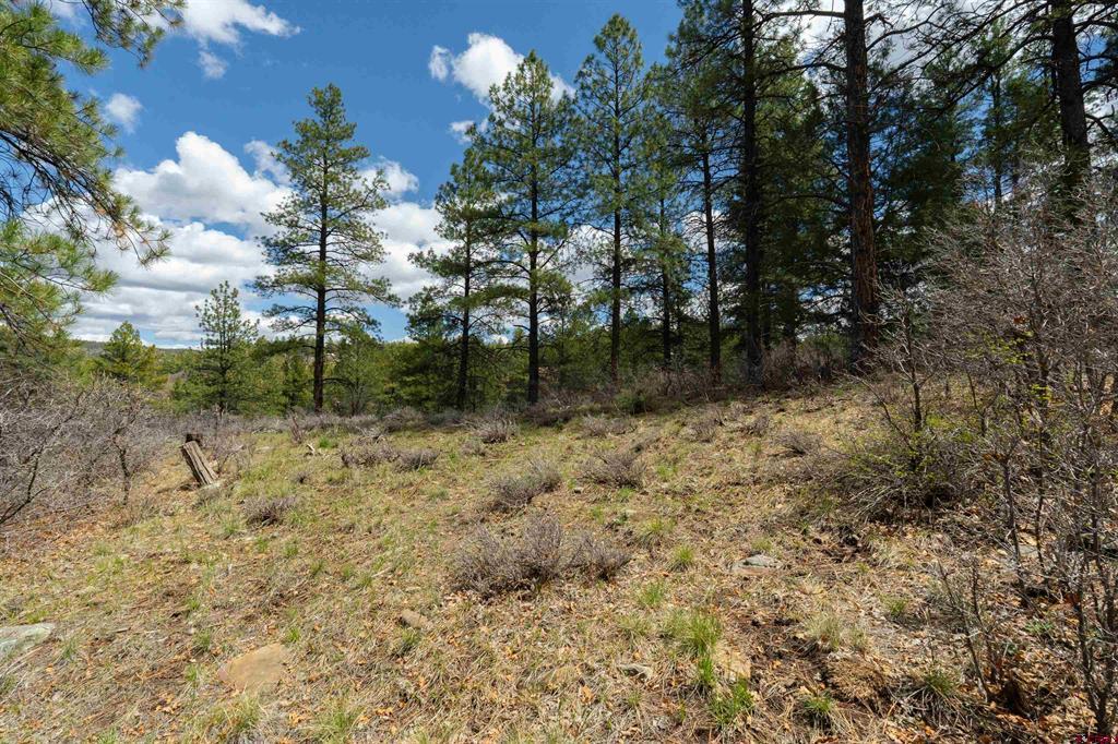 422 Oakridge Drive Pagosa Springs CO 81147