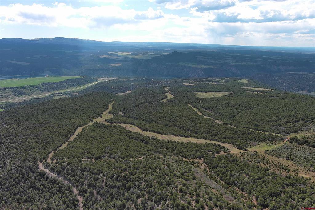 Tbd County Road 4 Ridgway CO 81432