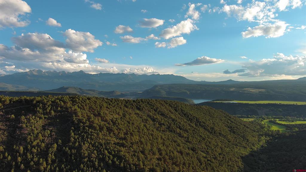 Tbd County Road 4 Ridgway CO 81432