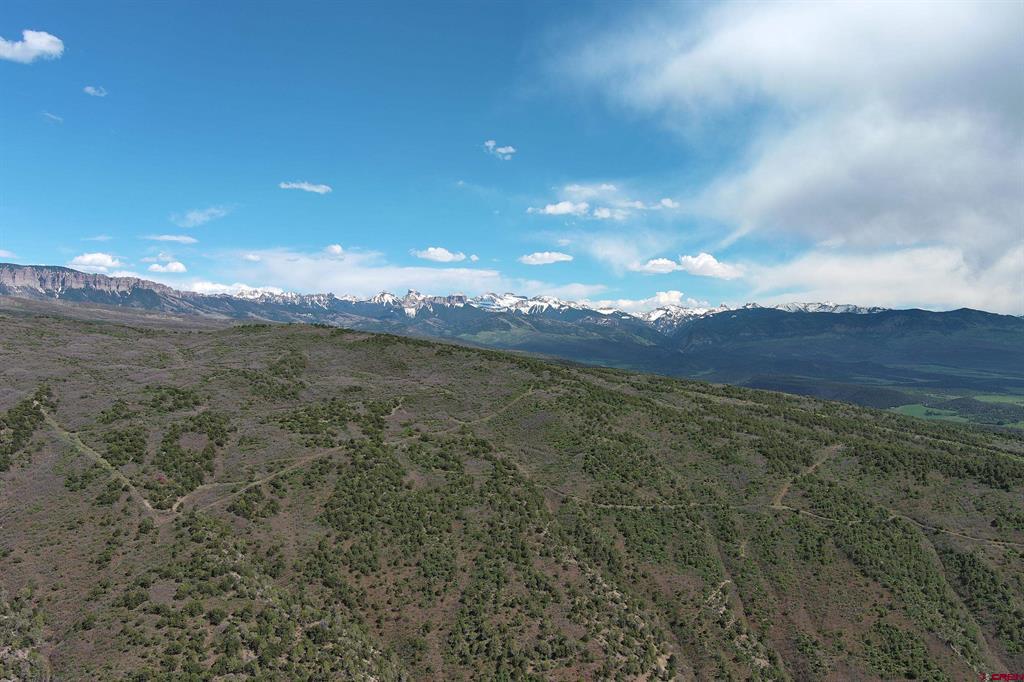 Tbd County Road 4 Ridgway CO 81432