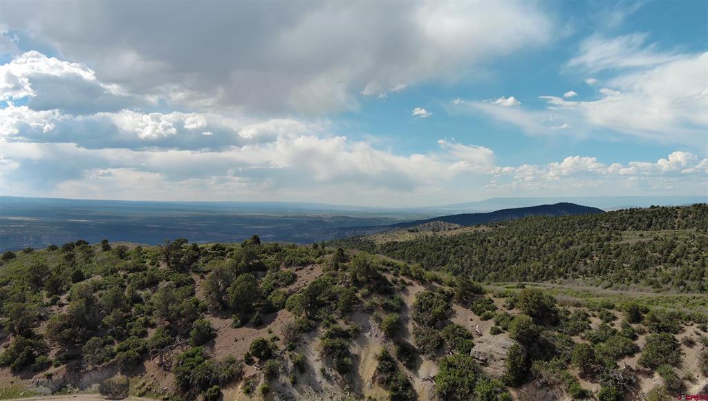 Tbd County Road 4 Ridgway CO 81432