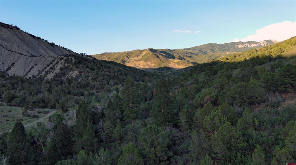 Tbd County Road 4 Ridgway CO 81432