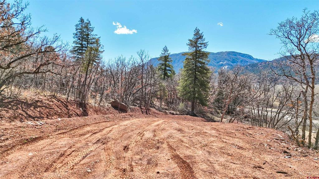 4228 County Road 250 Durango CO 81301
