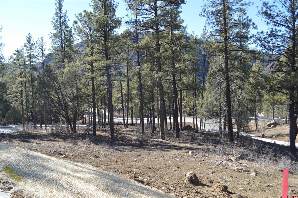 53 Snowdrop Court (Lot 140) Durango CO 81301