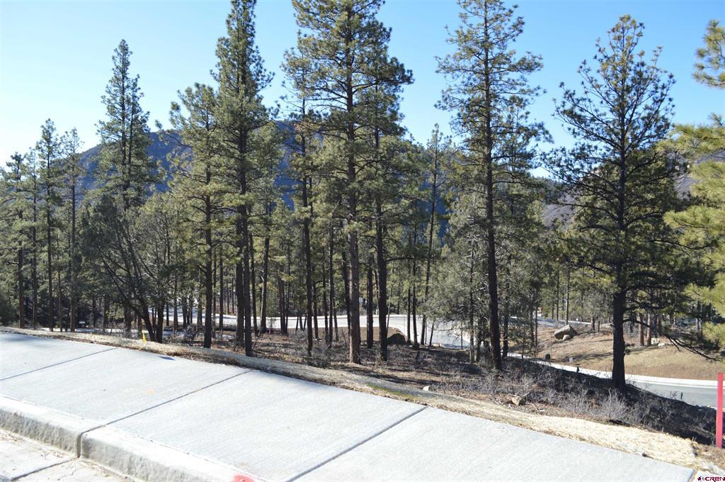 53 Snowdrop Court (Lot 140) Durango CO 81301