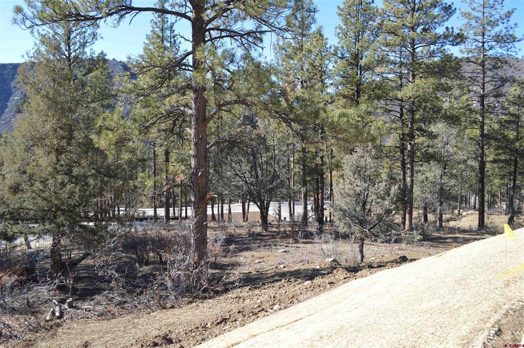53 Snowdrop Court (Lot 140) Durango CO 81301