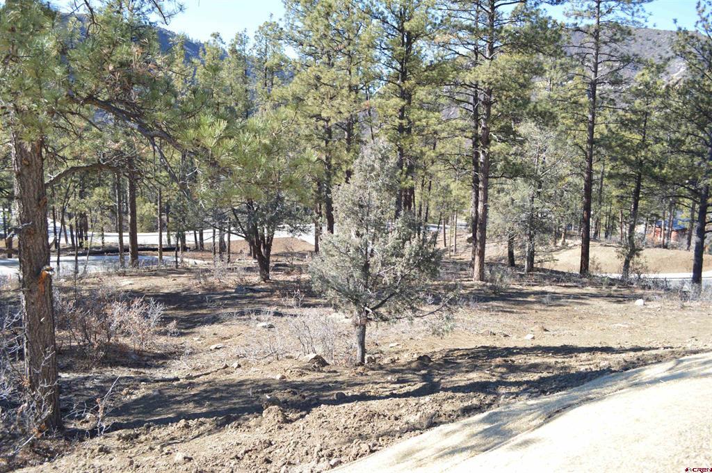 53 Snowdrop Court (Lot 140) Durango CO 81301