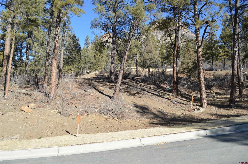 53 Snowdrop Court (Lot 140) Durango CO 81301
