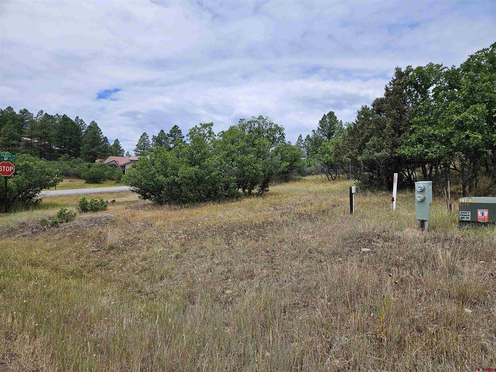 8 Caballero Drive Pagosa Springs CO 81147