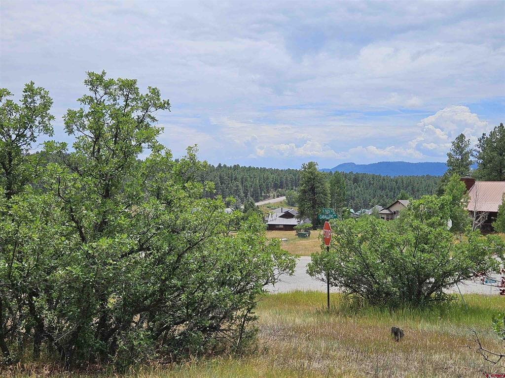8 Caballero Drive Pagosa Springs CO 81147