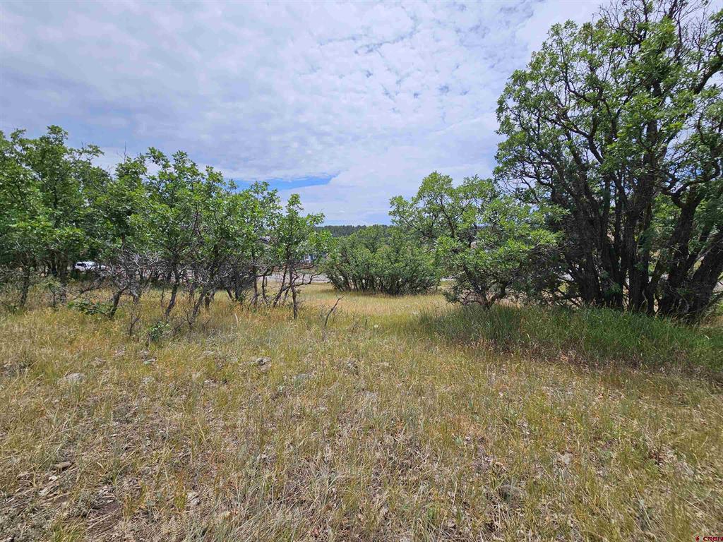 8 Caballero Drive Pagosa Springs CO 81147