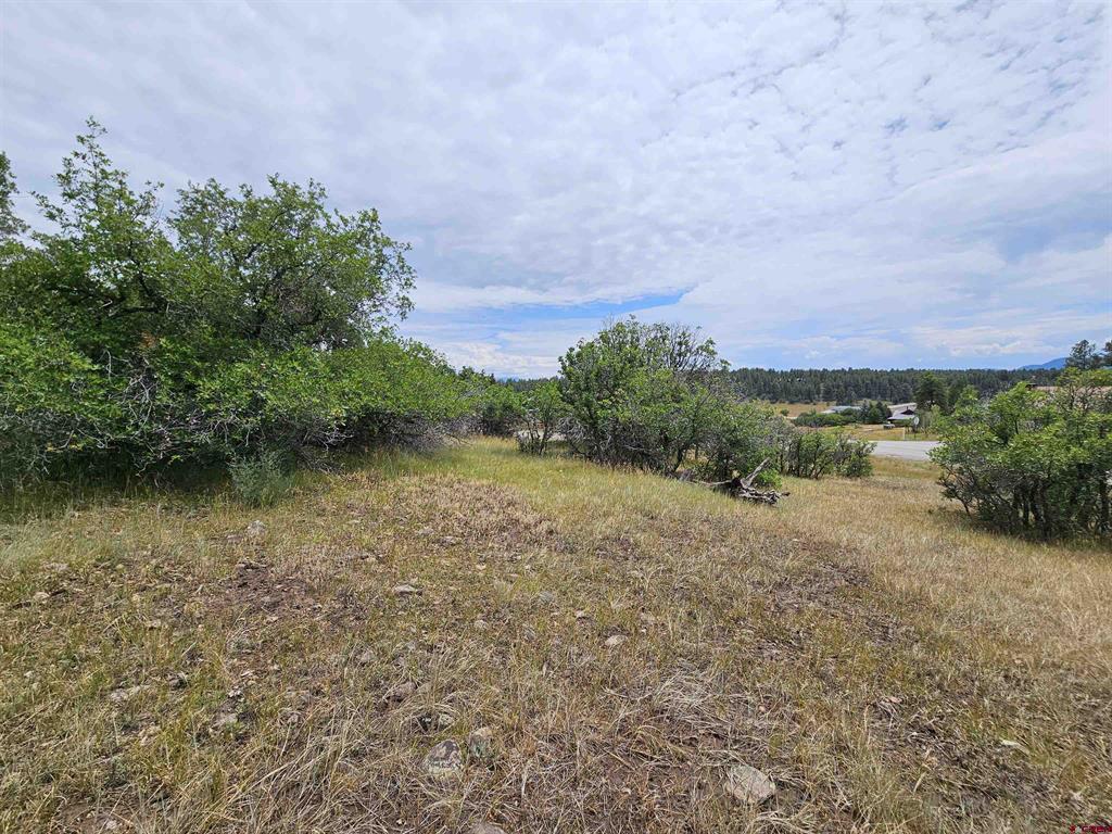 8 Caballero Drive Pagosa Springs CO 81147