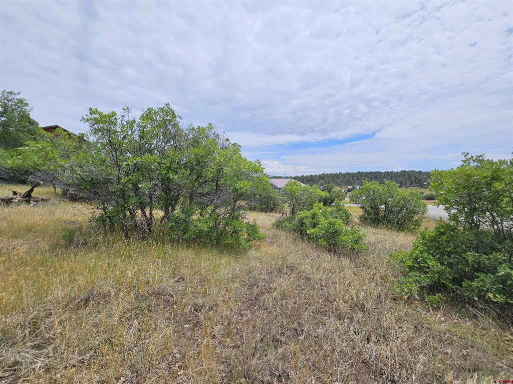8 Caballero Drive Pagosa Springs CO 81147
