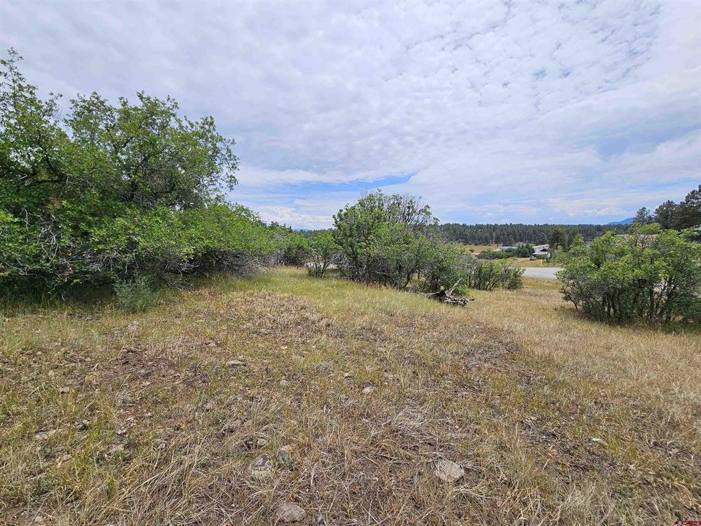 8 Caballero Drive Pagosa Springs CO 81147