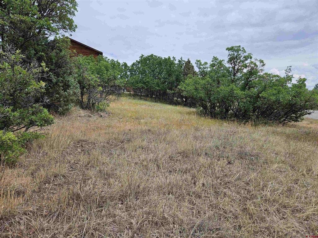 8 Caballero Drive Pagosa Springs CO 81147