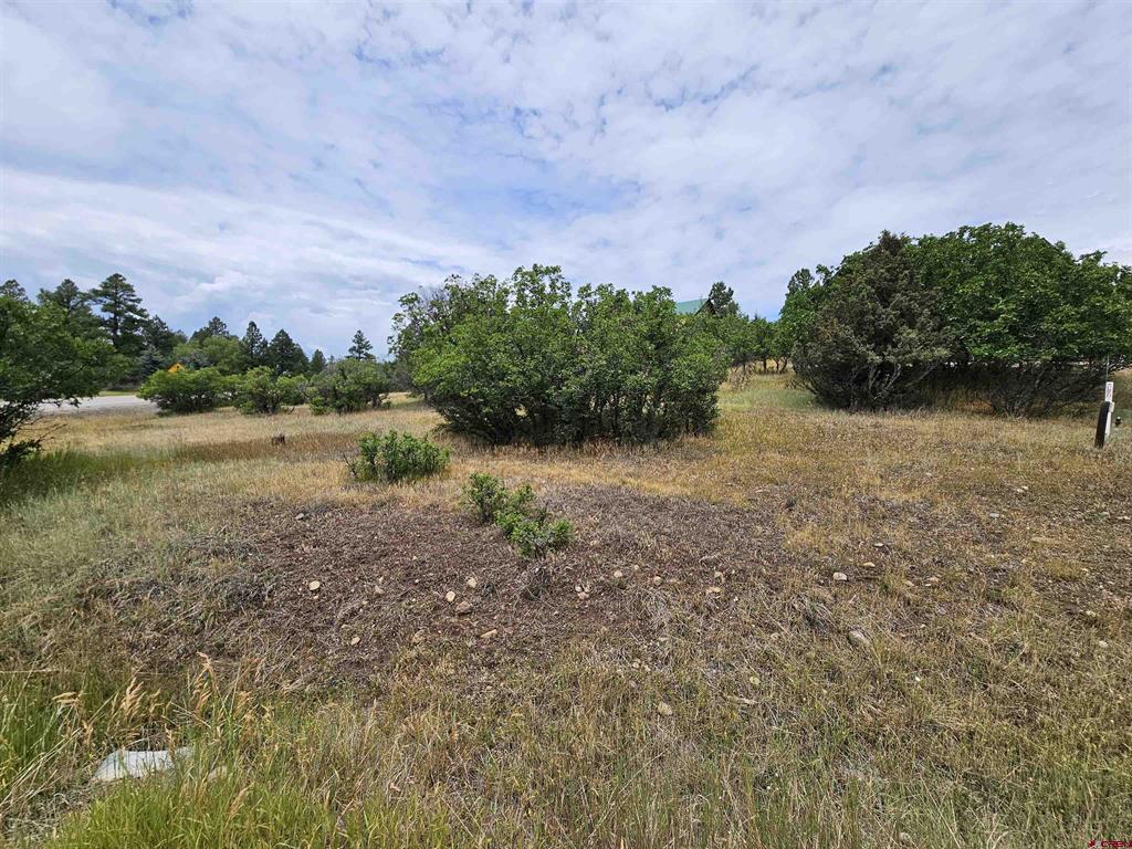 8 Caballero Drive Pagosa Springs CO 81147