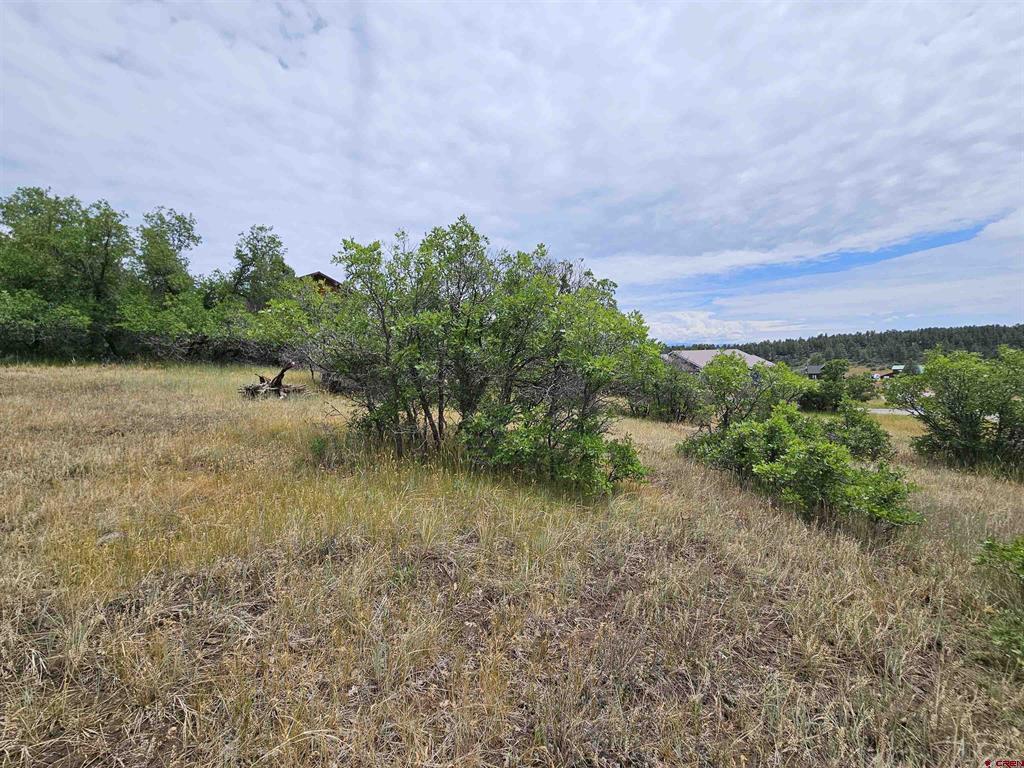 8 Caballero Drive Pagosa Springs CO 81147