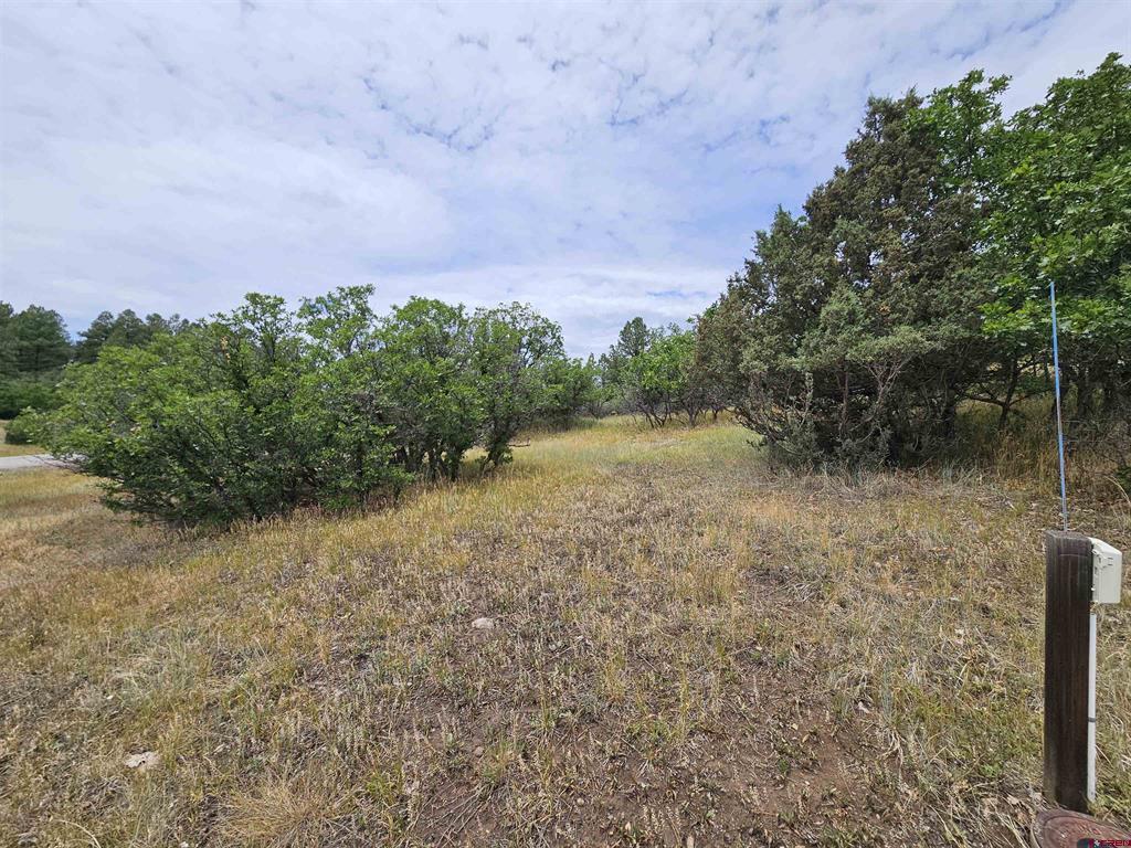 8 Caballero Drive Pagosa Springs CO 81147