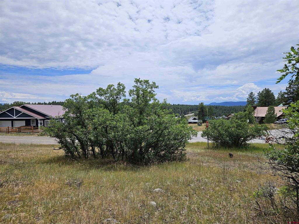 8 Caballero Drive Pagosa Springs CO 81147