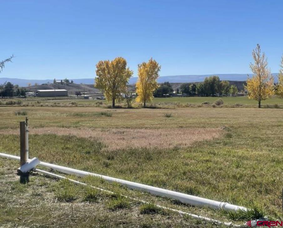 Lot 1 6900 Road Montrose CO 81403